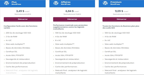 Avis One.com - Forfait WordPress